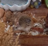 Screenshot_20230902-202346_Samsung Internet.webp