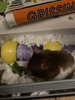 IMG_1777.jpeg