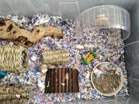 P_20230907_140833.webp P_20230907_140833.webp