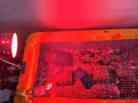 P_20230907_140928.webp P_20230907_140928.webp