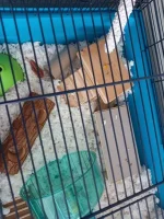 20230908_161205.webp