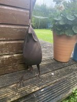IMG_4091.jpeg
