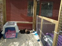 IMG_0449.jpeg