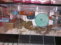 20230913-164042.webp