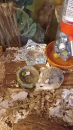 20230914_172004.webp 20230914_172004.webp