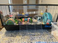 IMG_4123.jpeg