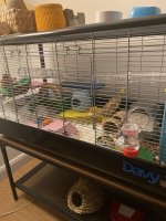 IMG_4133.jpeg