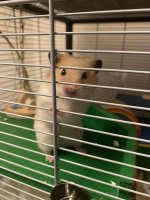 IMG_4140.jpeg