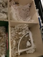 IMG_4141.jpeg