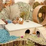 Niteangel 6 room house.webp