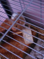 20230921_070358.jpg