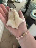 IMG_0538.jpeg