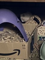 IMG_0974.jpeg