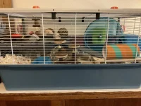 IMG_7101.jpeg