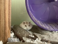 IMG_9903.jpeg