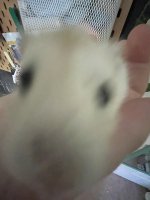 IMG_9894.jpeg