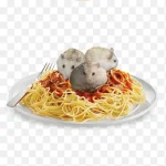 Untitled65_20230620154257.webp
