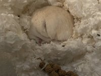 IMG_0246.jpeg