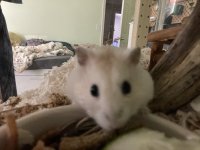 IMG_1193.jpeg