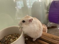 IMG_0773.jpeg