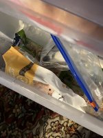 IMG_1016.jpeg