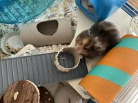 IMG_7123.webp IMG_7123.webp