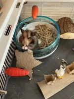 IMG_7165.webp IMG_7165.webp