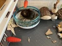 IMG_7154.webp IMG_7154.webp