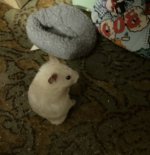 IMG_1017.jpeg
