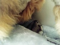 IMG_20231005_085017974.jpg