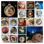 Advent Hamsters 2022 collage.jpg Advent Hamsters 2022 collage.jpg