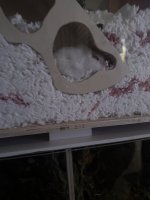 IMG_5252.jpeg