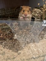 IMG_5302.jpeg