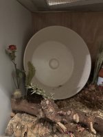 IMG_5322.jpeg