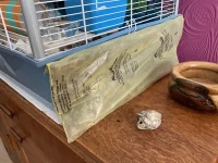 IMG_7172.jpeg