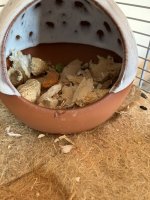 IMG_1025.jpeg