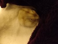 20231018_210159.jpg