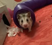 IMG_0351.jpeg