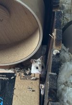 IMG_0361.jpeg