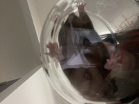 IMG_3037.jpeg