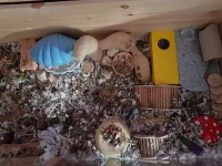 20231107_132631 (1).webp