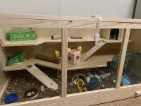 4374673E-E36D-4A57-BAC0-8EDFEB939DF6.webp 4374673E-E36D-4A57-BAC0-8EDFEB939DF6.webp