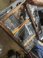IMG_7105.jpeg