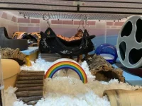 IMG_1059.webp IMG_1059.webp