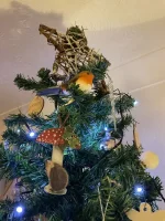 IMG_7214.jpeg