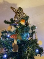 IMG_7214.jpeg