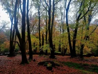 IMG-20231203-WA0001.webp