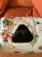 IMG_1182.jpeg