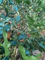 20231206_121754.webp