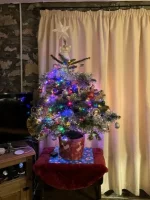 Christmas tree 2023.jpg